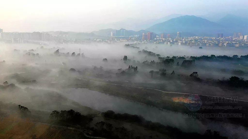桃花侠守卫战