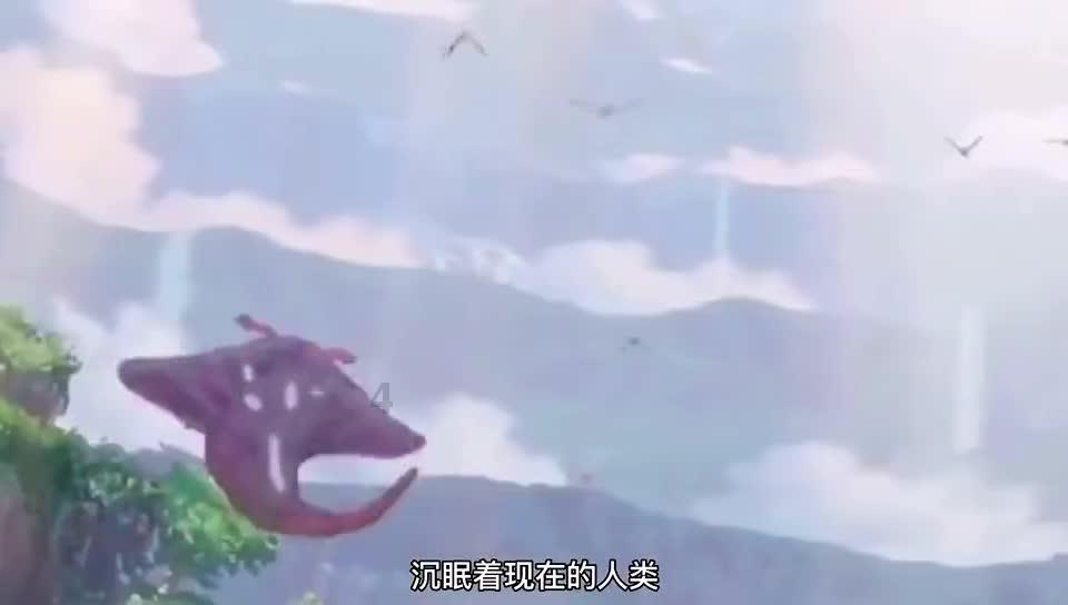 奥利维亚收养猫