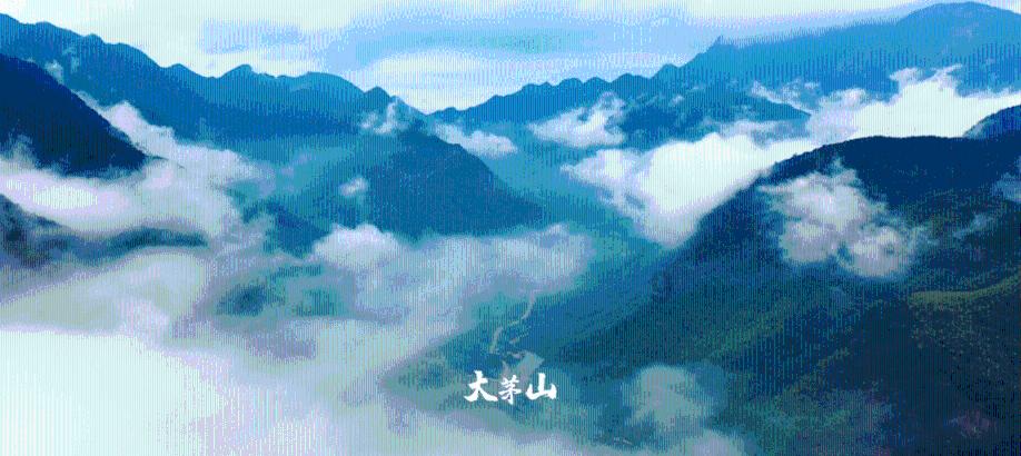 收集星星的高吉