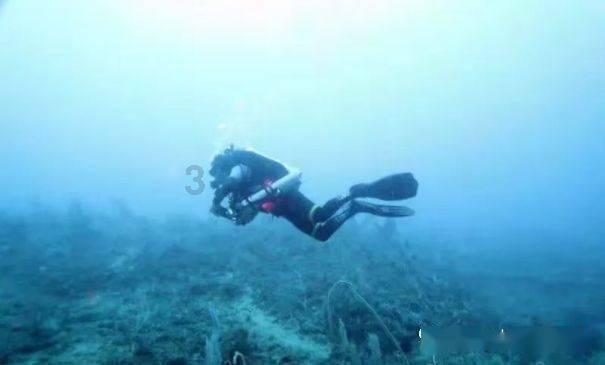 请问发财树流黑水怎么治疗啊？