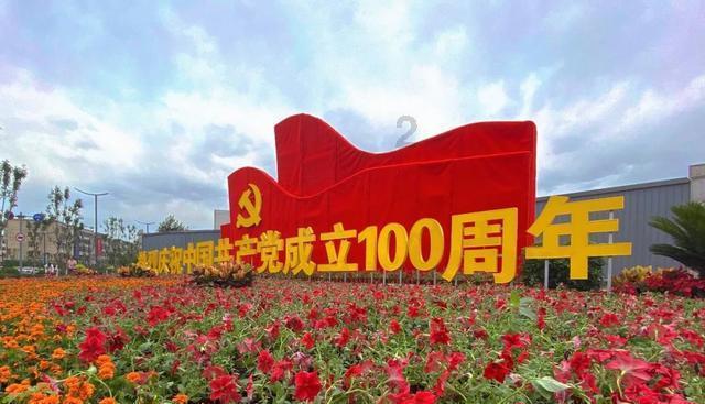 五彩鹦鹉救援